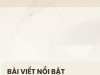 Xu hướng rèm cửa nổi bật được nhiều gia đình yêu thích trong năm 2026